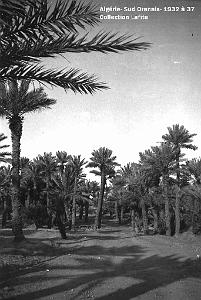 SUD ORANAIS  1932 A 1937  (24)